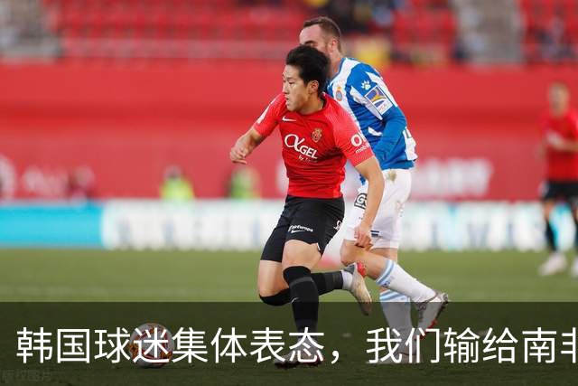 韩国球迷集体表态，我们输给南非，是因为中国国足坑了我们