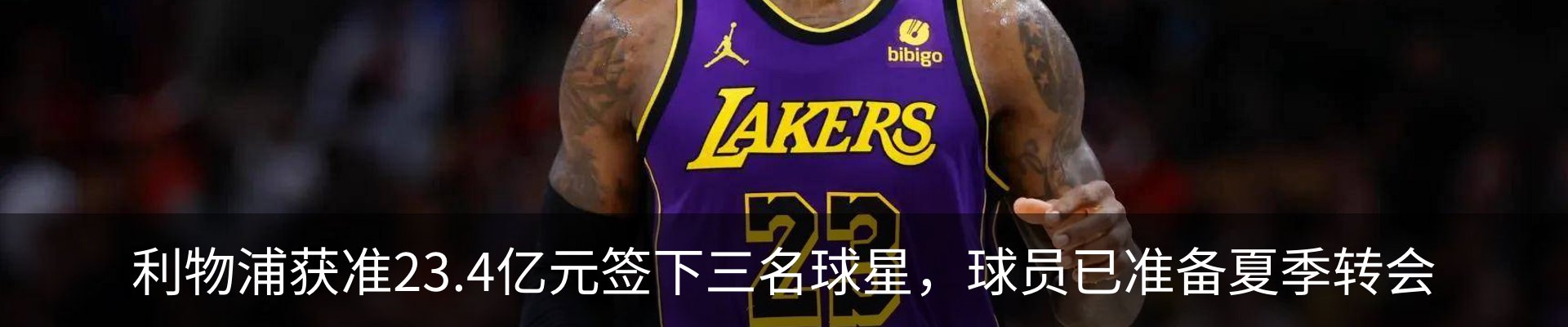 最新动态
