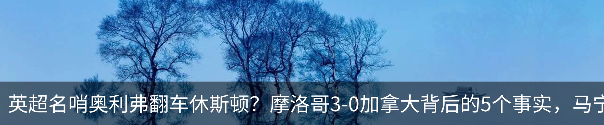 最新动态