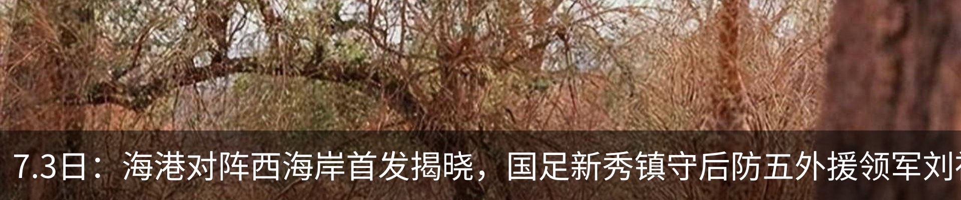最新动态